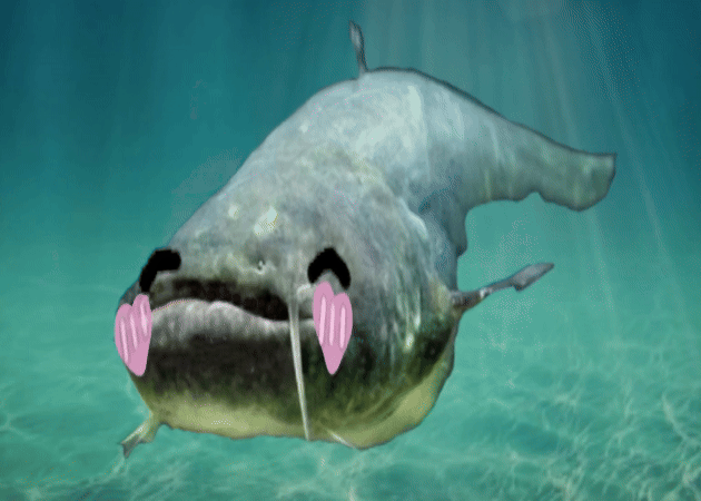 Cover image for Catfish Clicker (Full Version)