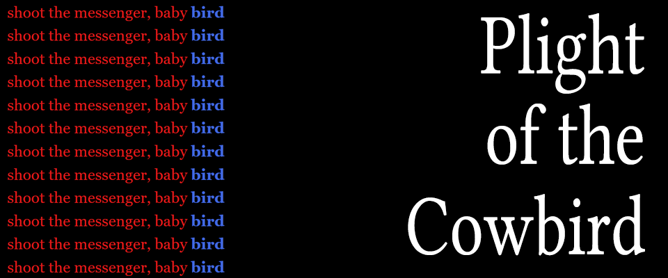 Plight of the Cowbird