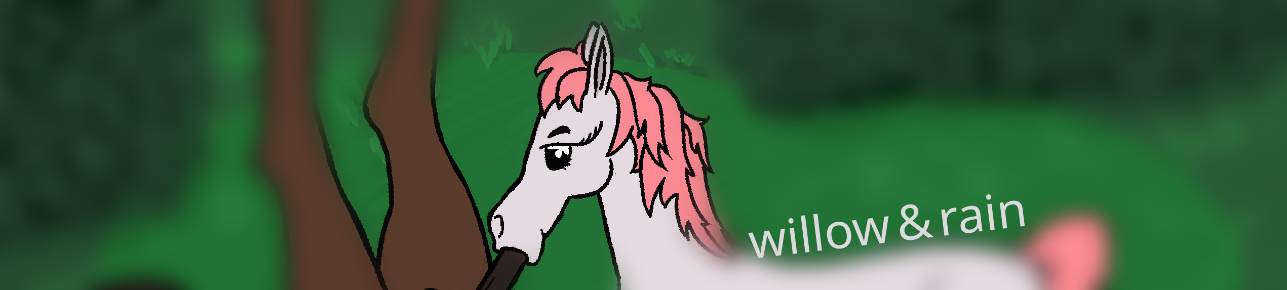 willow & rain