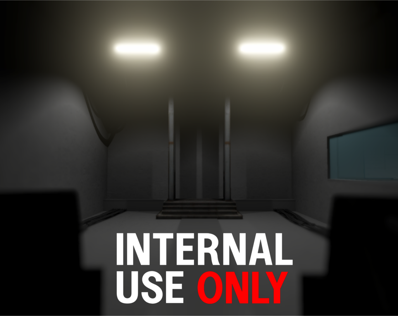 Cover image for Internal Use Only