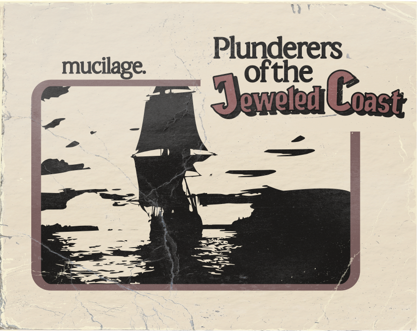 Cover image for Plunderers of the Jeweled Coast