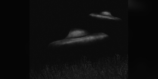 Cover image for Echoes Above The Treeline