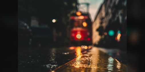 Cover image for The Forest Train