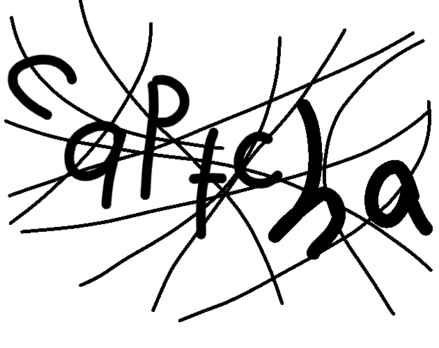 CAPTCHA Worker