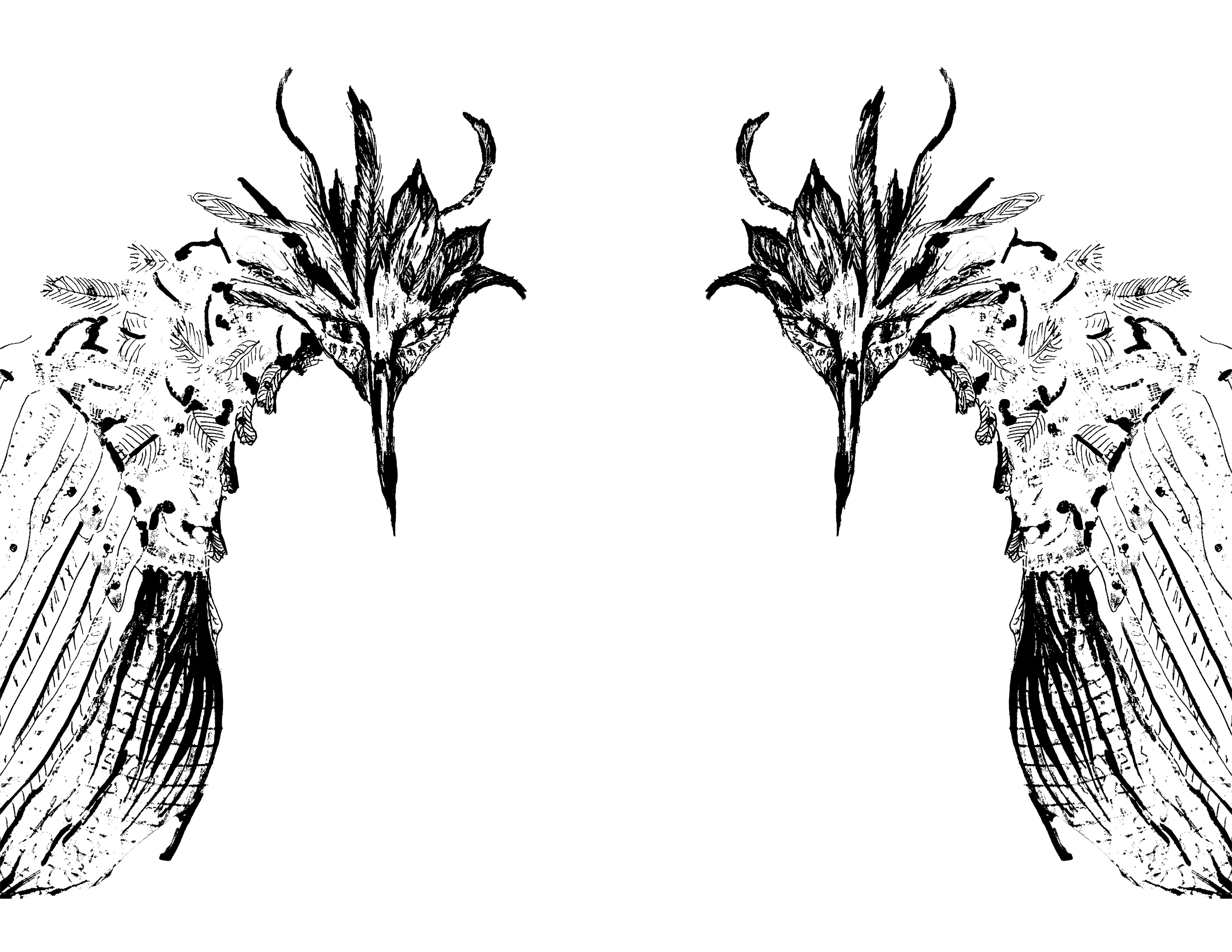 Zines of Evernost