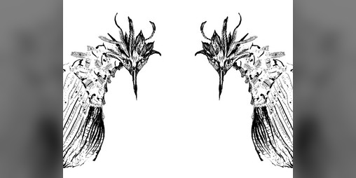 Cover image for Zines of Evernost