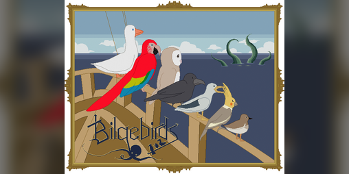 Cover image for Bilgebirds