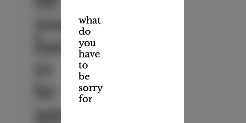 Cover image for what do you have to be sorry for