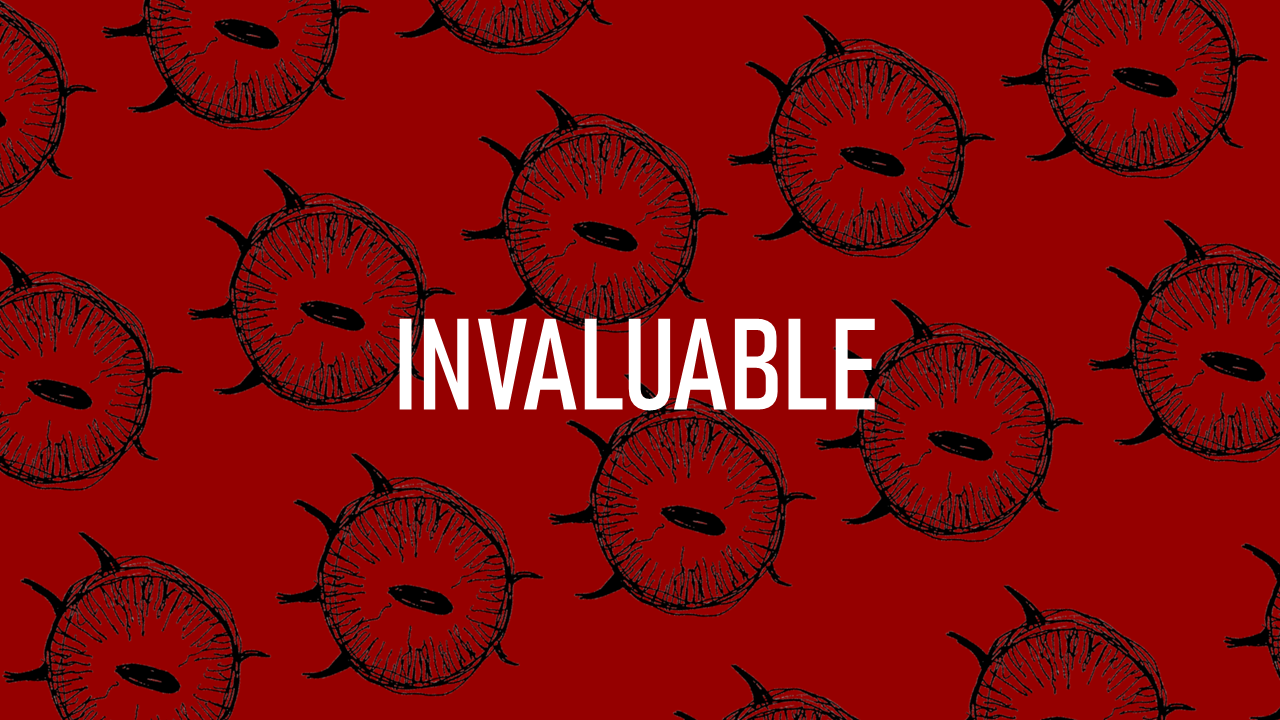 INVALUABLE