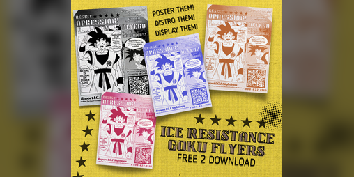 Cover image for GOKU ICE RESISTANCE FLYERS