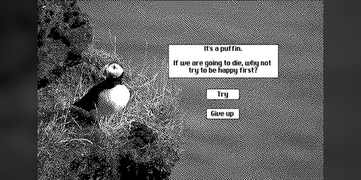 Cover image for WIPF. It's a nice puffin: If we are going to die, why not to try being happy first?