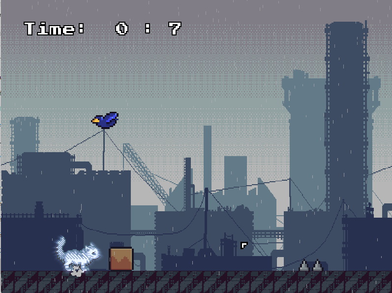 Cat RUN