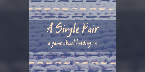 Cover image for A Single Pair