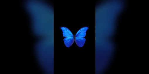 Cover image for Flight of Life