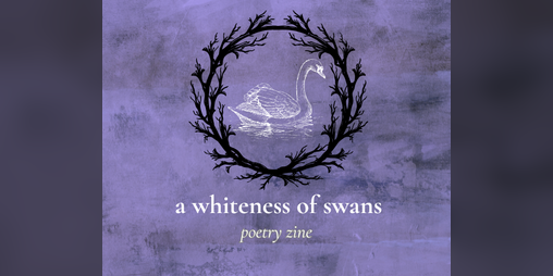 Cover image for a whiteness of swans - 2nd ed.