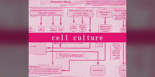 Cover image for cell culture