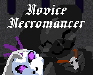 Novice Necromancer