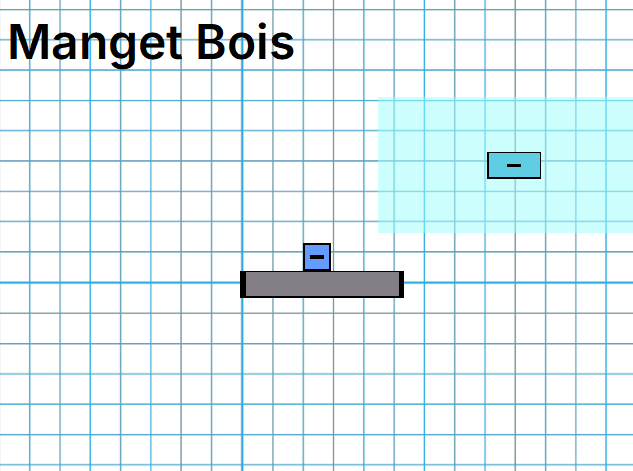 magnet bois