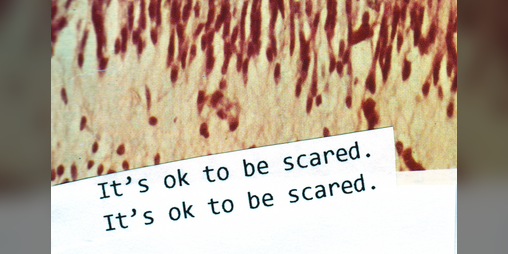 Cover image for It's OK to be scared