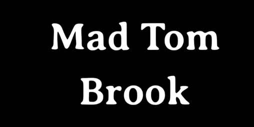Cover image for Mad Tom Brook