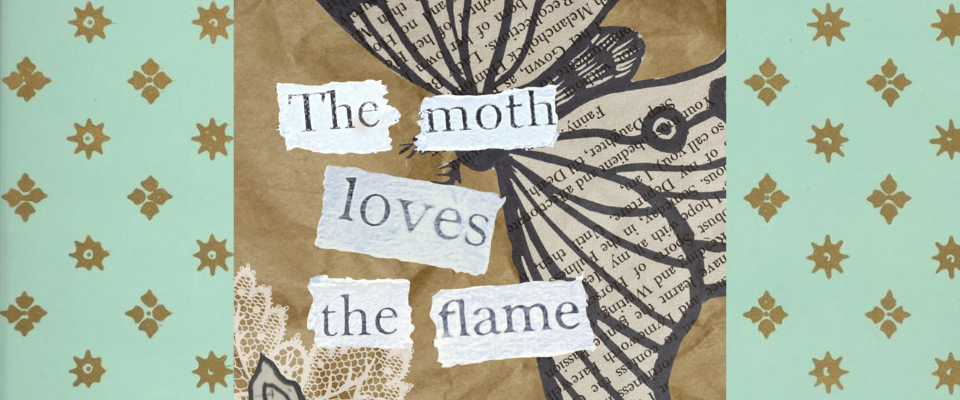 The Moth Loves The Flame