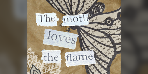 Cover image for The Moth Loves The Flame