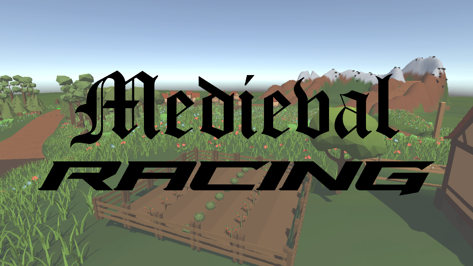 Medieval Racing