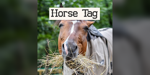 Cover image for Horse Tag