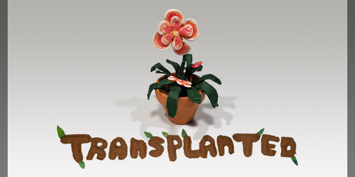 Cover image for Transplanted