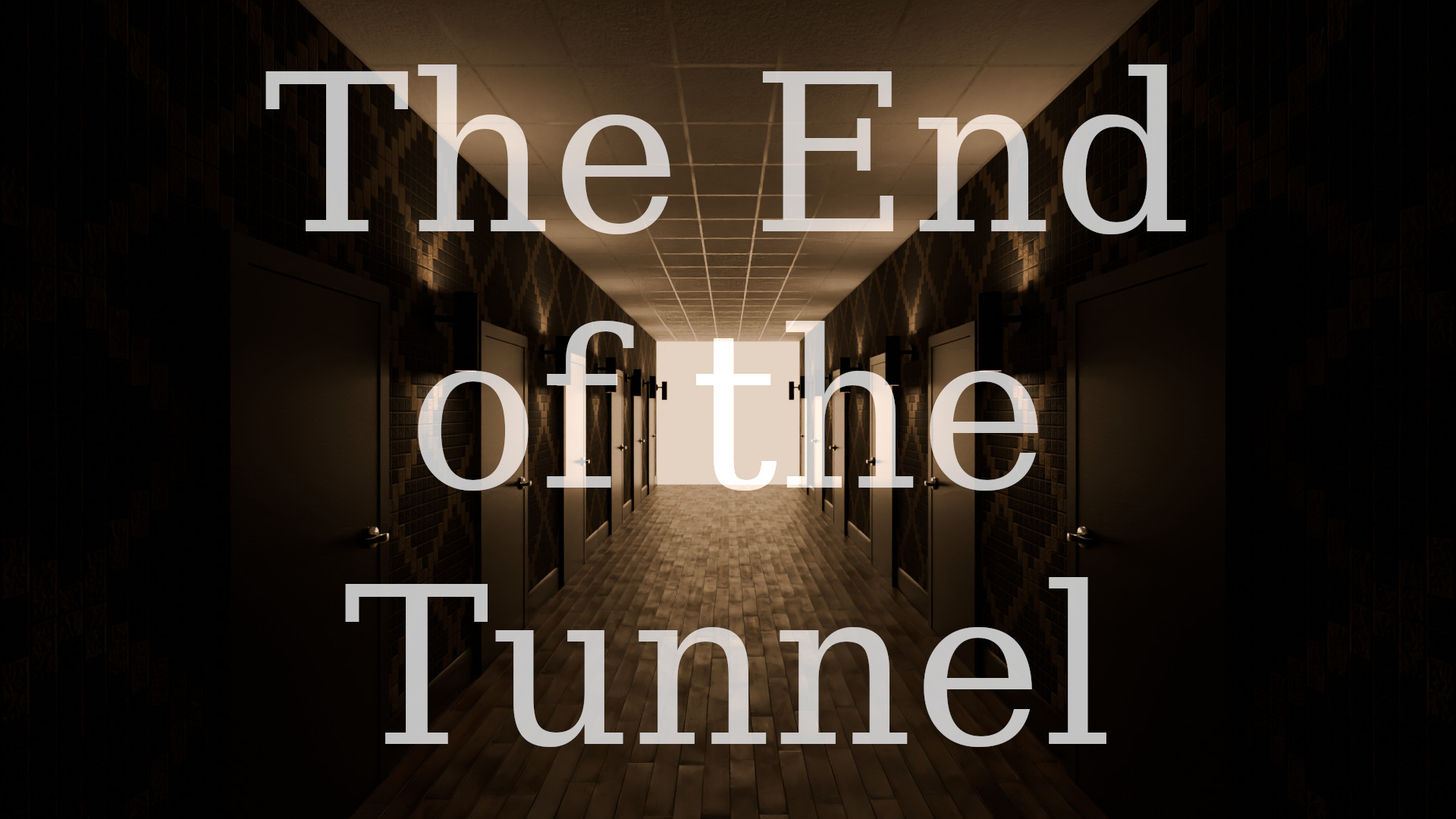 Cover image for The End of the Tunnel