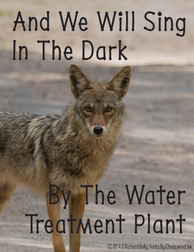 Cover image for And We Will Sing In The Dark By The Water Treatment Plant