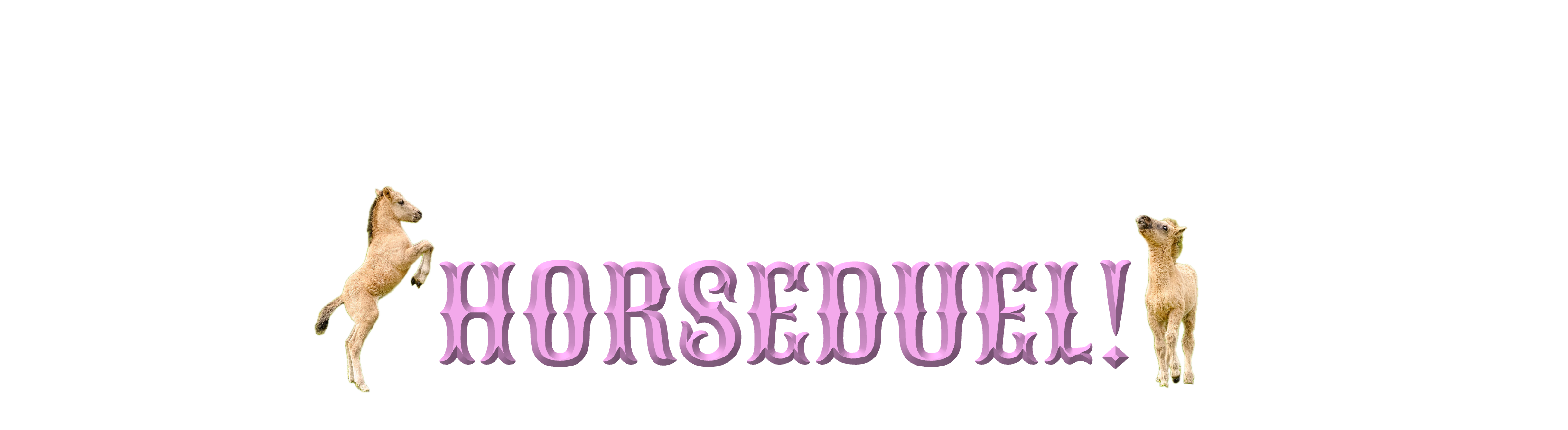 HORSEDUEL