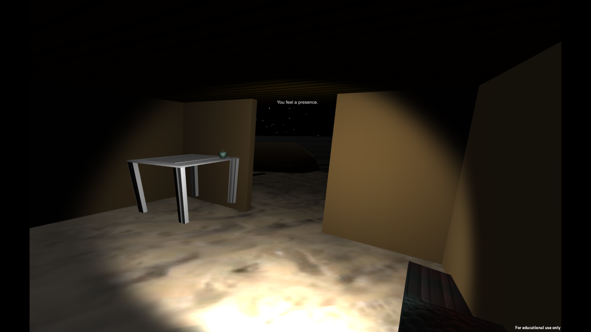Virtual World