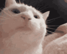 Propaganda Of Of Of Of Of Of Of Of Of Of Of Of Of Of Of Of Of Of Of Of Of Of Of Of Of Of Of Of Of Of Of