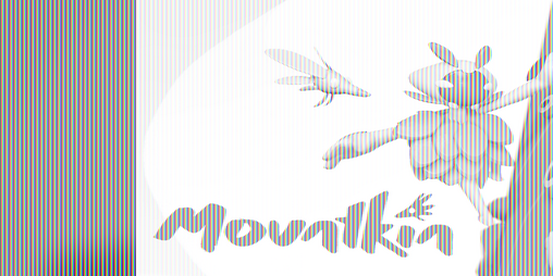 Cover image for Mountkin