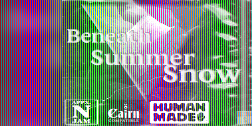 Cover image for Beneath the Summer Snow