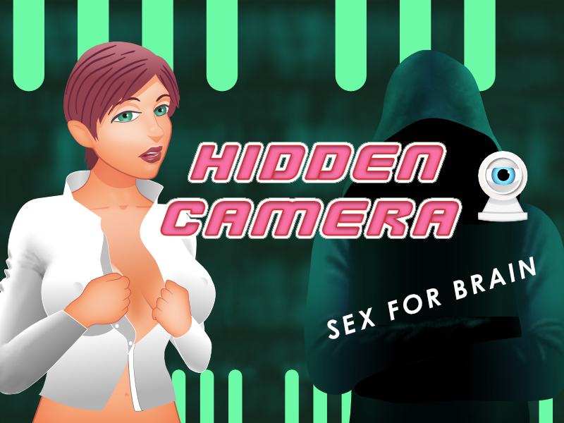 Cover image for Hidden Camera