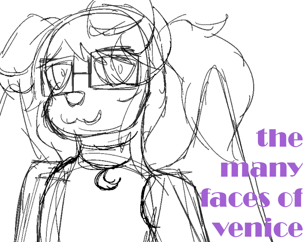 Cover image for the many faces of venice