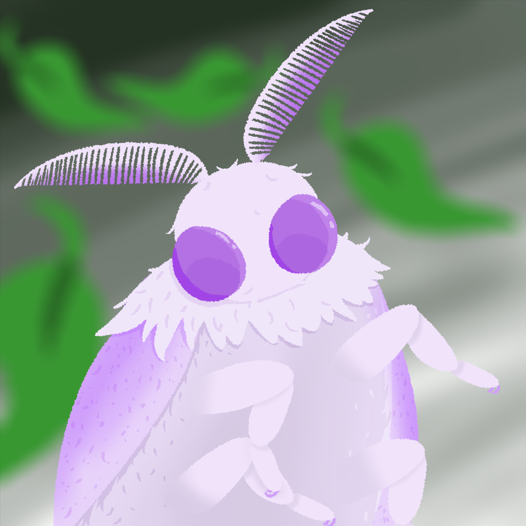Cover image for The metamorphosis of my moths