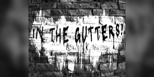 Cover image for In The Gutters!