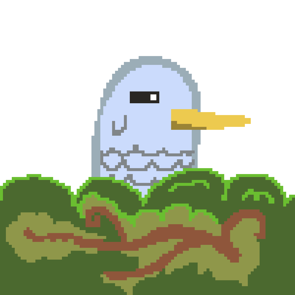 Cover image for Lost Feathers