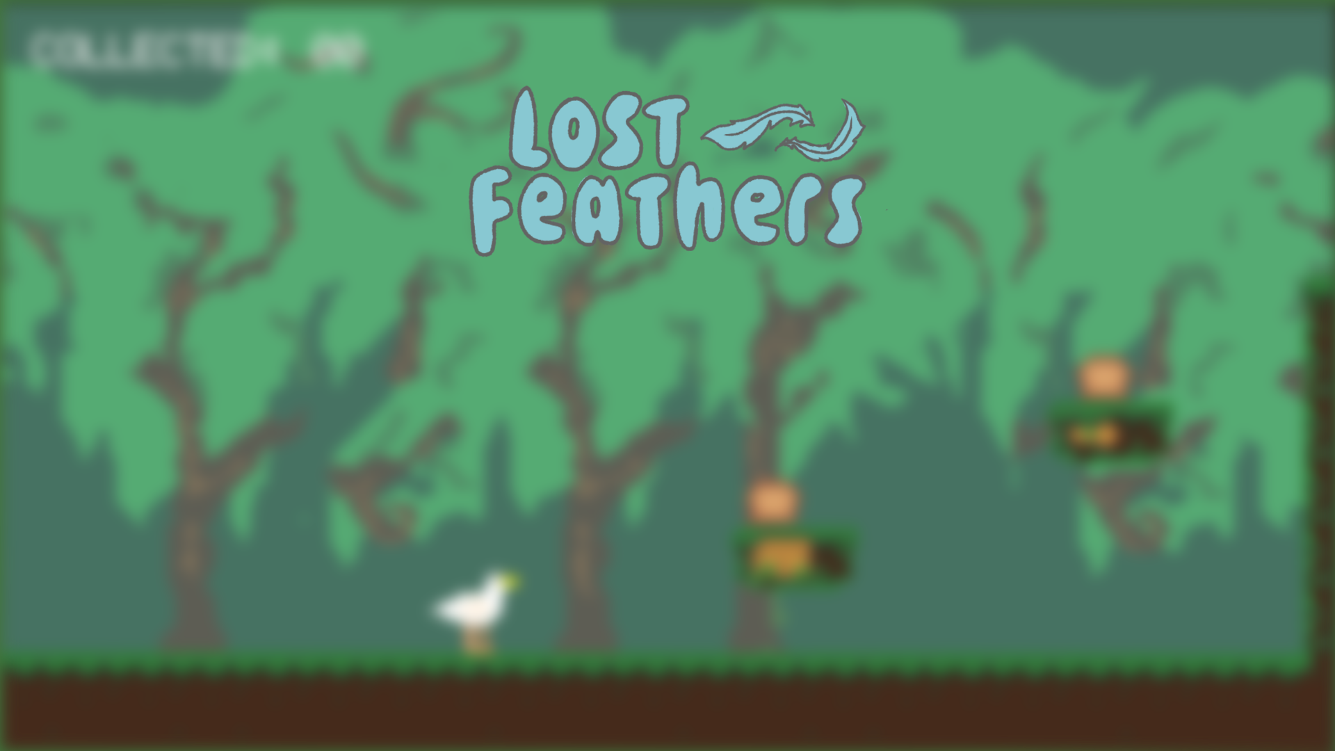 Lost Feathers