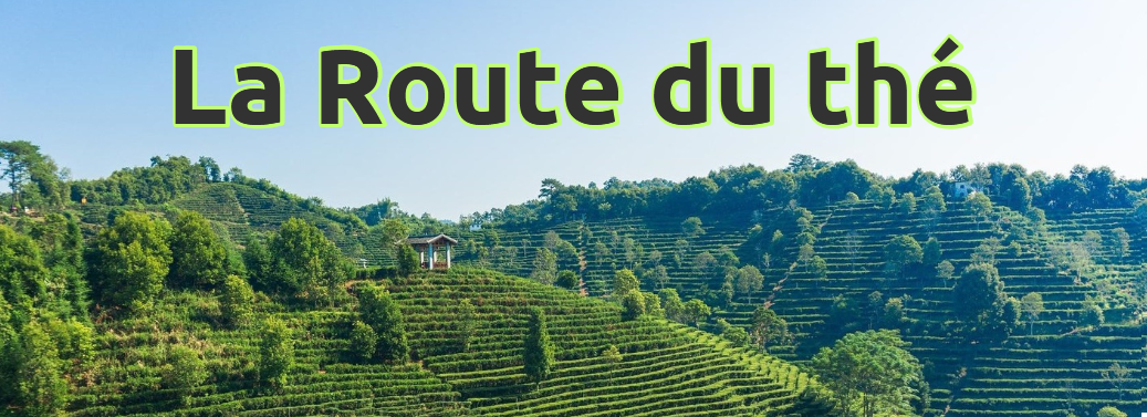 La Route du thé