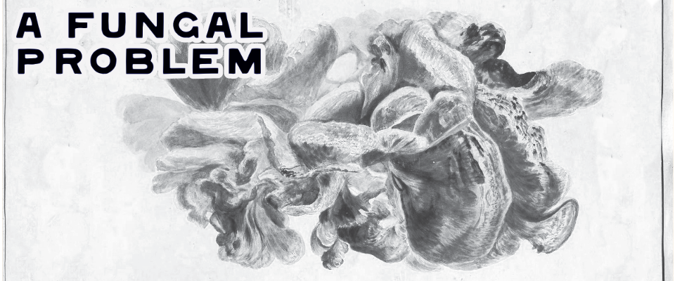 A Fungal Problem for Shadowdark RPG