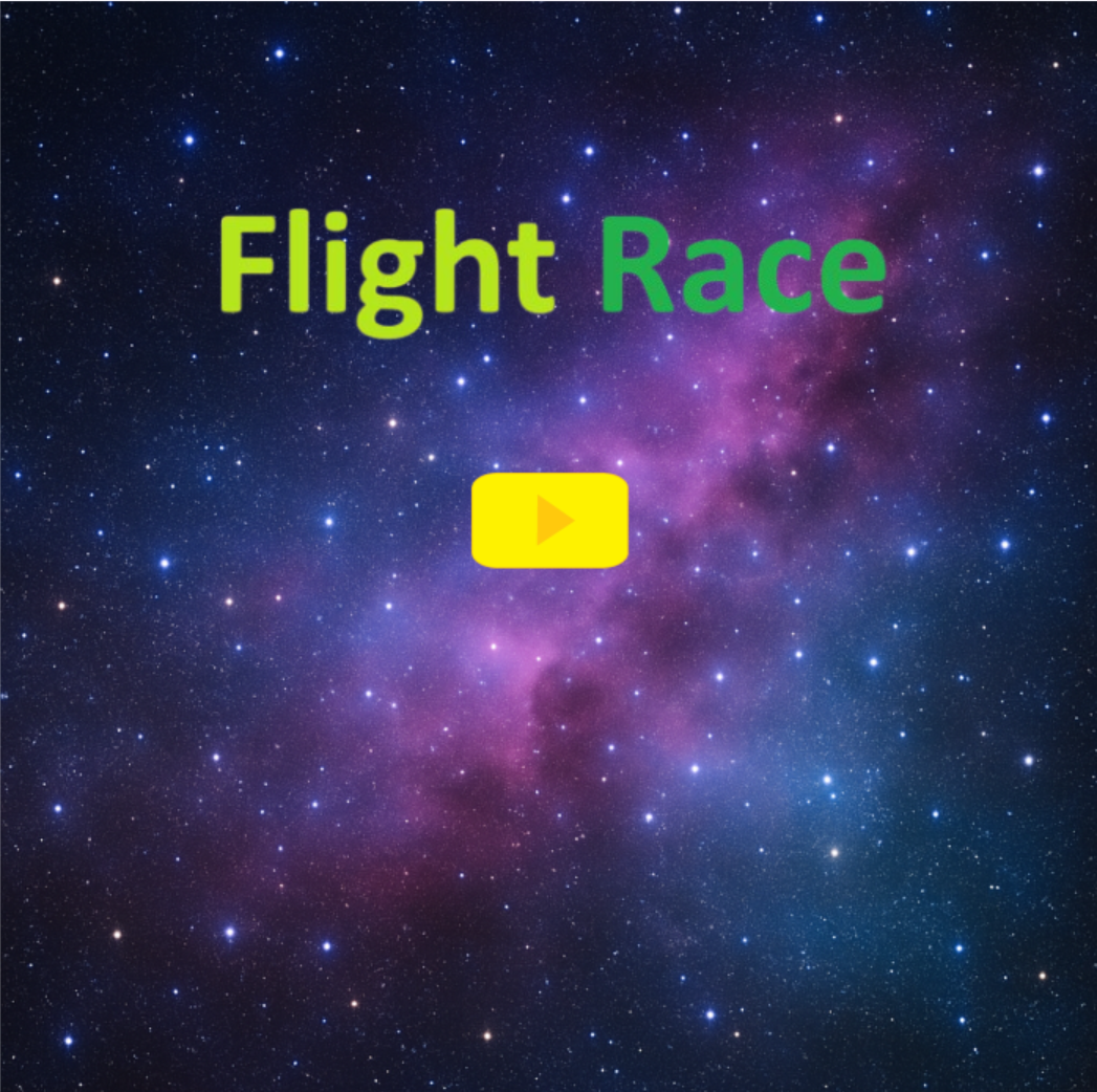 Flight Race