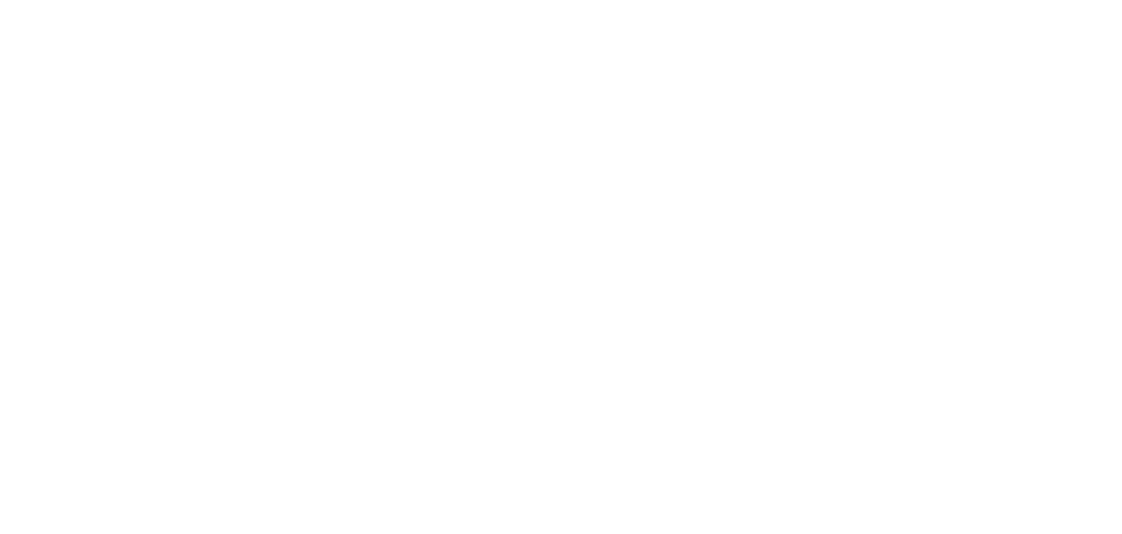 VIsLab