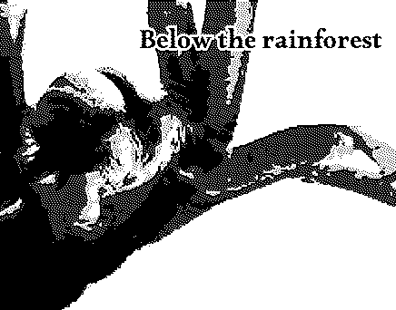 Cover image for Below the rainforest