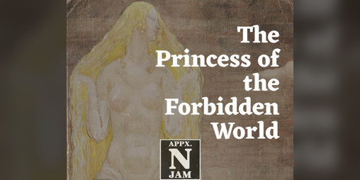 Cover image for The Princess of the Forbidden World