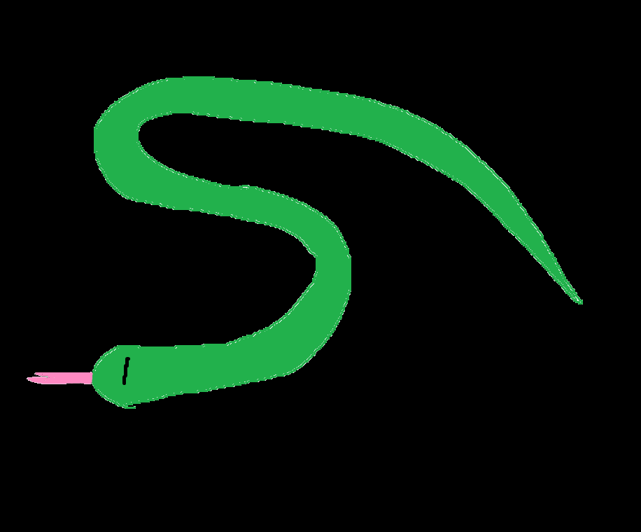 The Snake