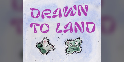 Cover image for Drawn to land (Evolved edition)